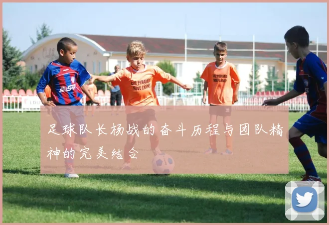 足球队长杨战的奋斗历程与团队精神的完美结合