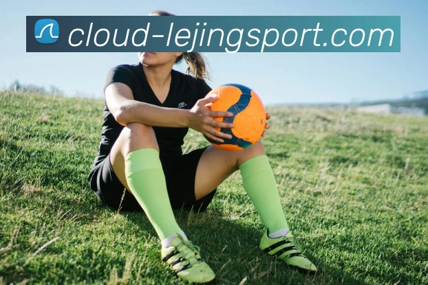 乐竞体育官方网站发展历程